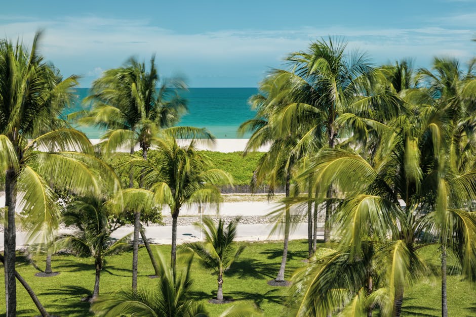 Private health insurance Florida PPO plan guide — Miami Beach palm trees and turquoise ocean